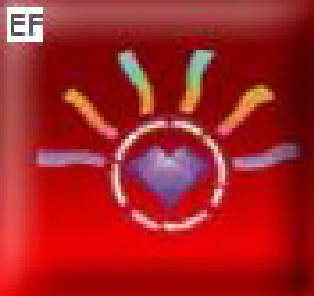 第二屆2008溫州國際奢侈品展覽會(huì)