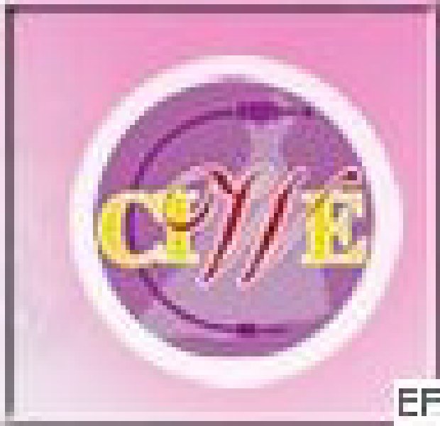 第十三屆中國(guó)上海國(guó)際婚紗攝影器材展覽會(huì)