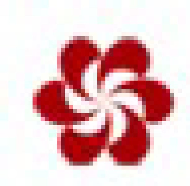 2010第108屆中國(guó)進(jìn)出口商品交易會(huì)(第一期)