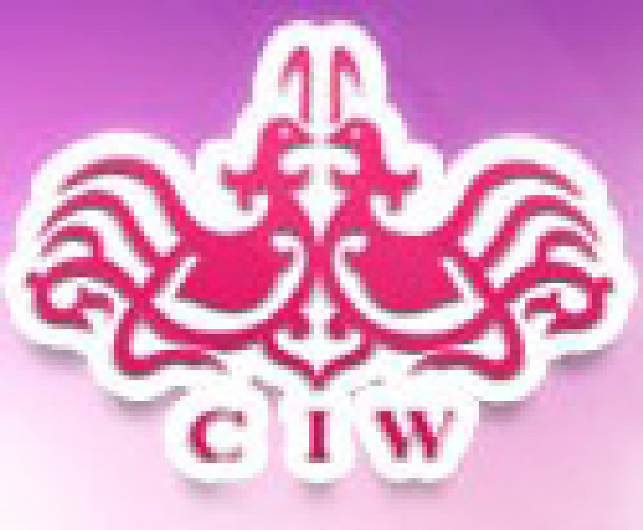 2012春季中國(上海)國際婚博會