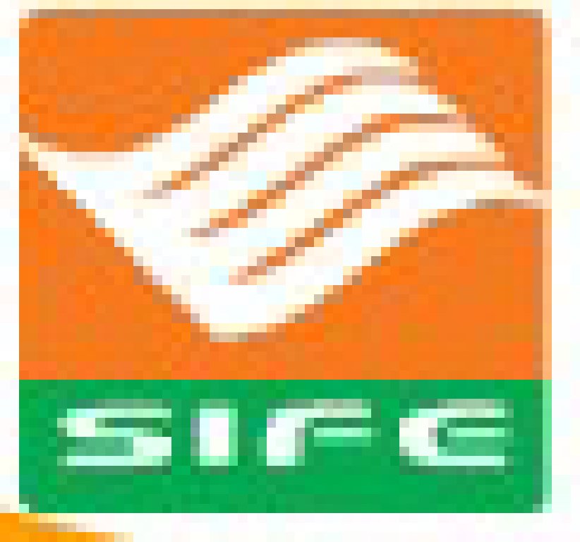 2011國際特許加盟(上海)展覽會